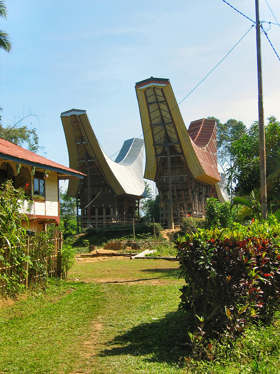 Pays Toraja / Maisons traditionnelles.
