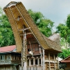 Pays Toraja / Maison traditionnelle.