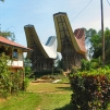 Pays Toraja / Maisons traditionnelles.