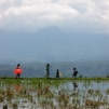 Pays Toraja / Trek dans les montagnes: Paysage.