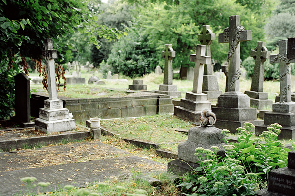 London, August 2008 / Brompton cemetery