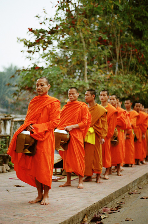 Procession des moines à l'aube (Luang Prabang)