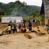 Scène de vie au coin du feu (village Hmong, ZNP de Nam Ha)