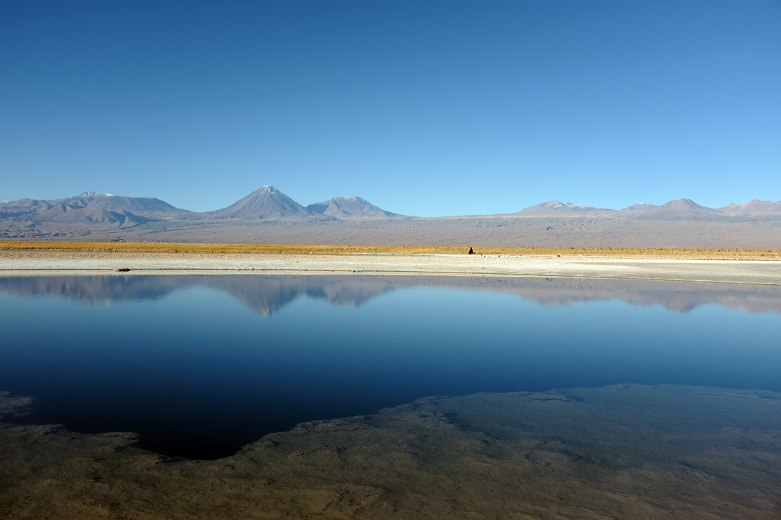 Laguna de Cejar (Around San Pedro de Atacama, Chile)