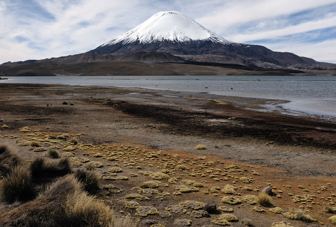 Parinacota volcano from the Chungara lake (Parque Nacional Lauca)