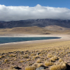 Laguna Miscanti (Around San Pedro de Atacama, Chile)