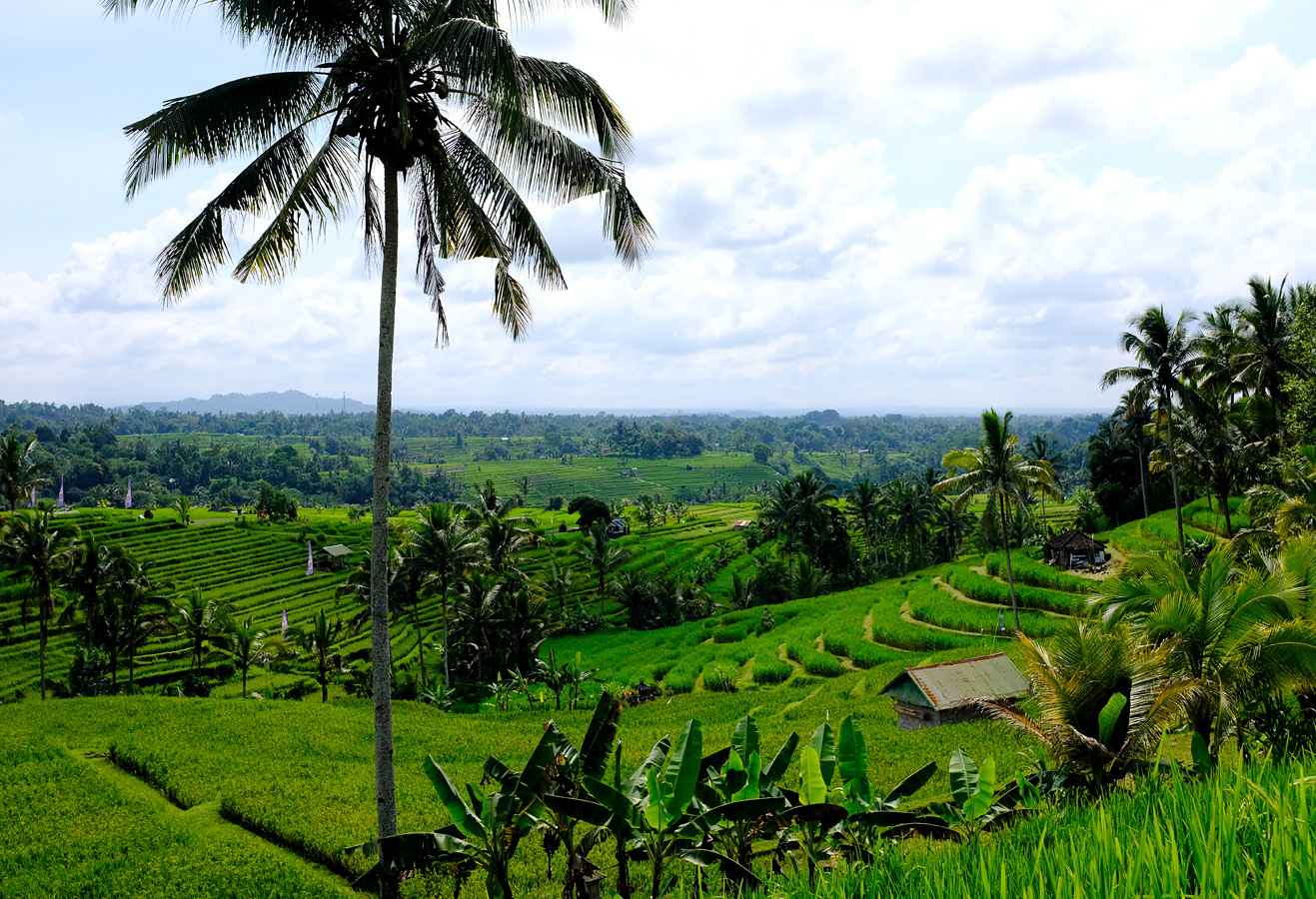 Indonesia, november 2022