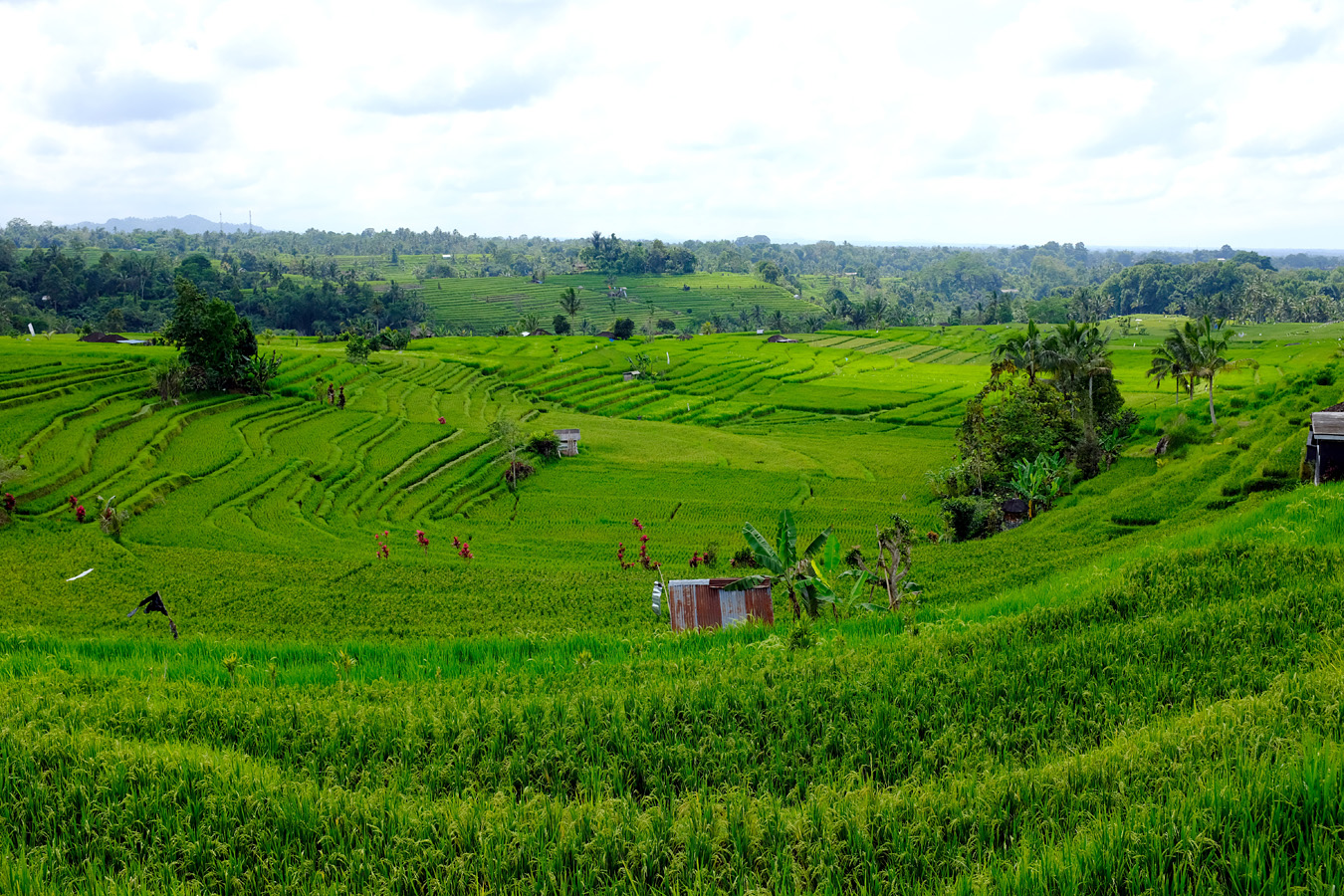 Indonesia, november 2022