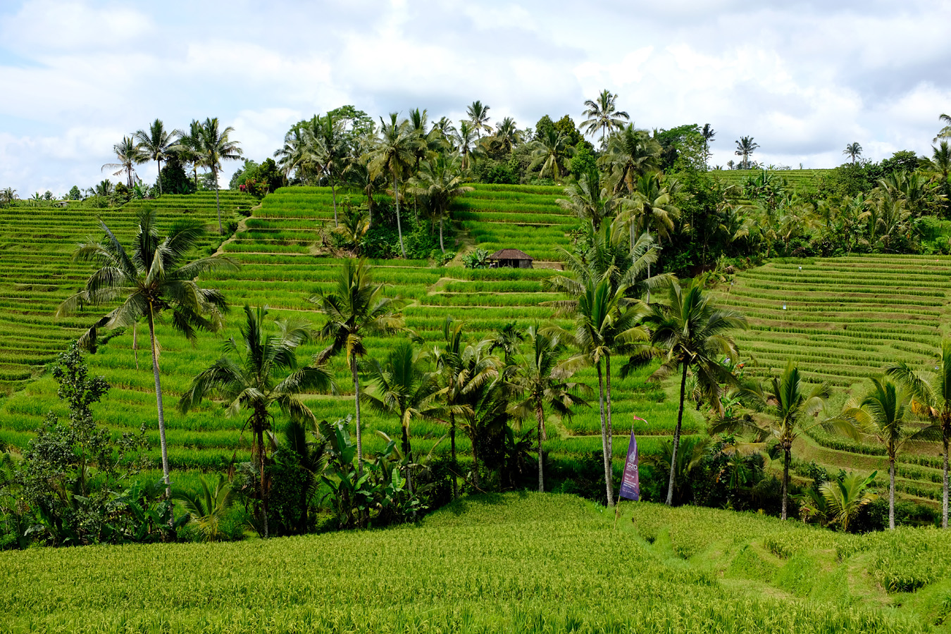 Indonesia, november 2022