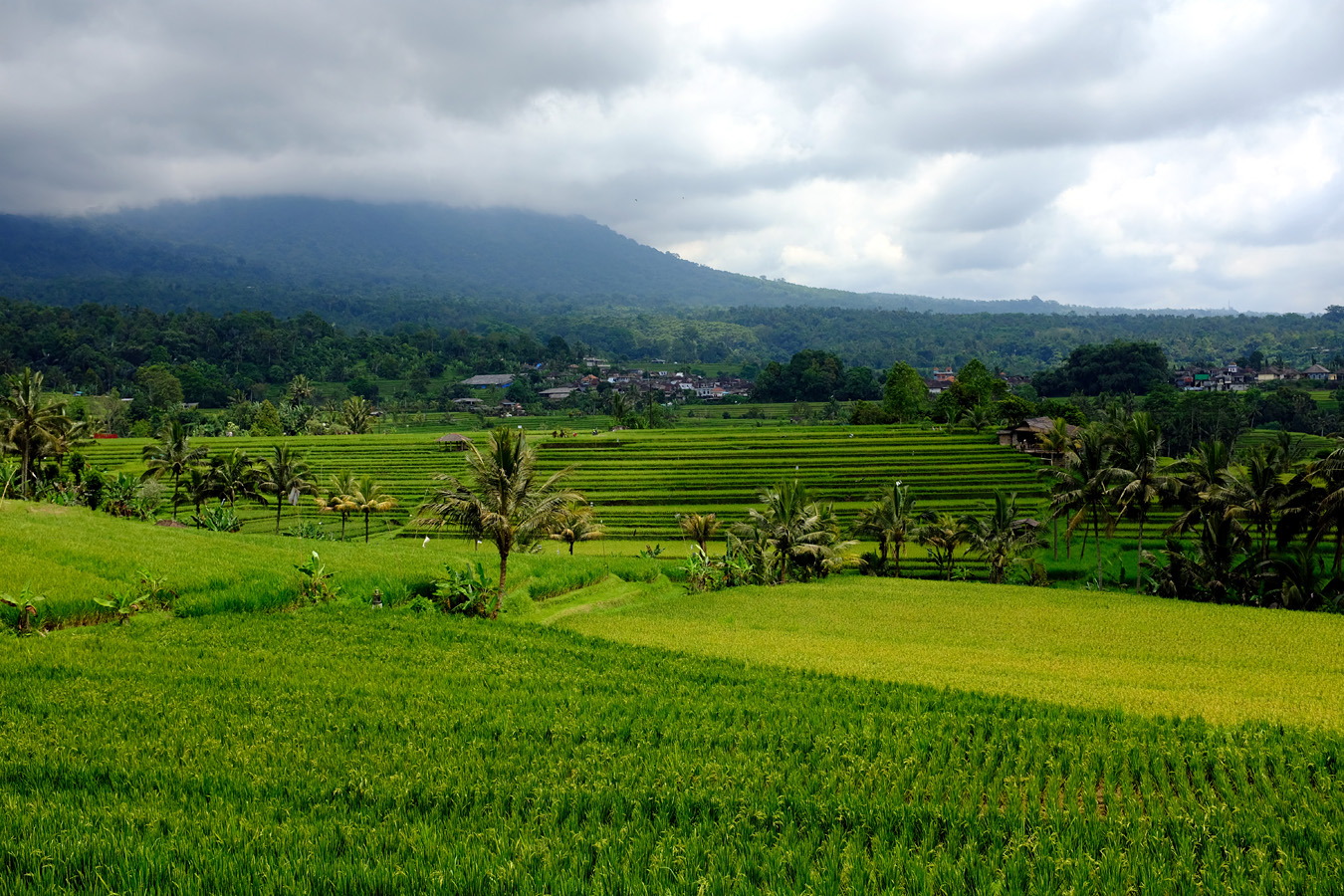 Indonesia, november 2022