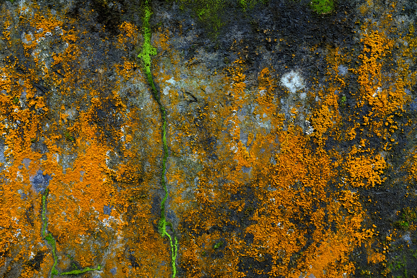 Indonesia, november 2022