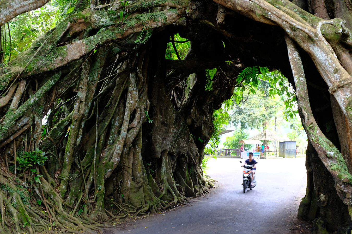 Indonesia, november 2022