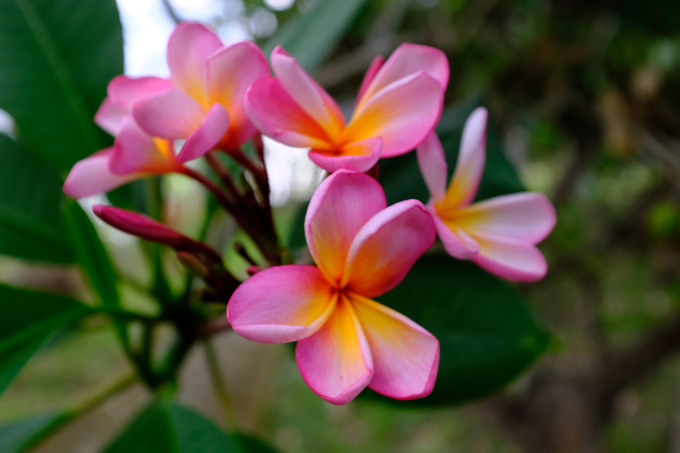 Indonesia, november 2022