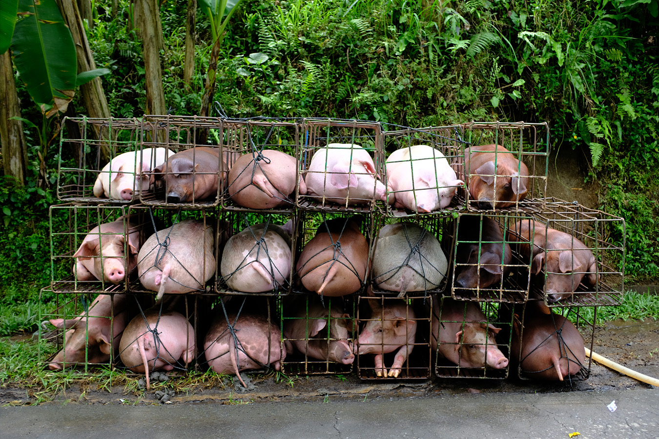 Indonesia, november 2022