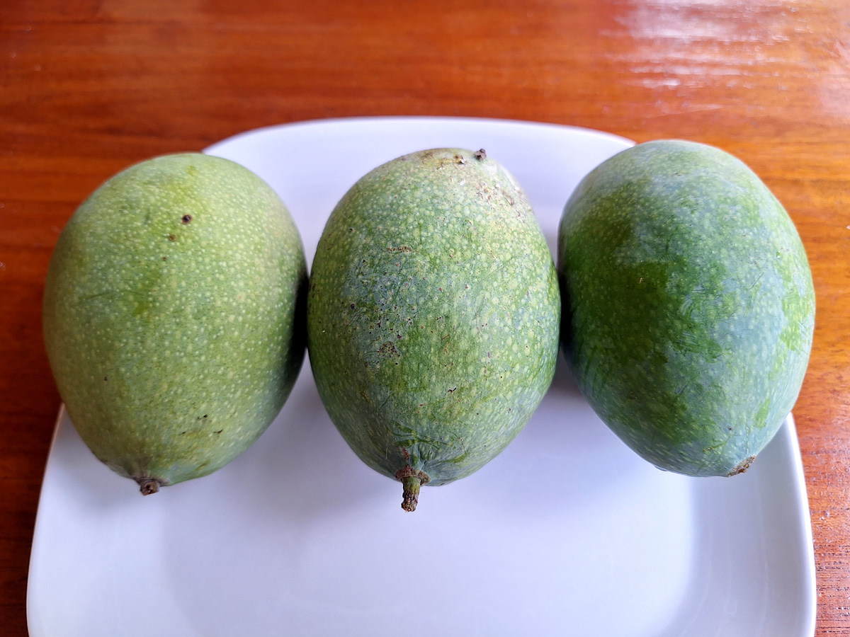 Indonesia, november 2023