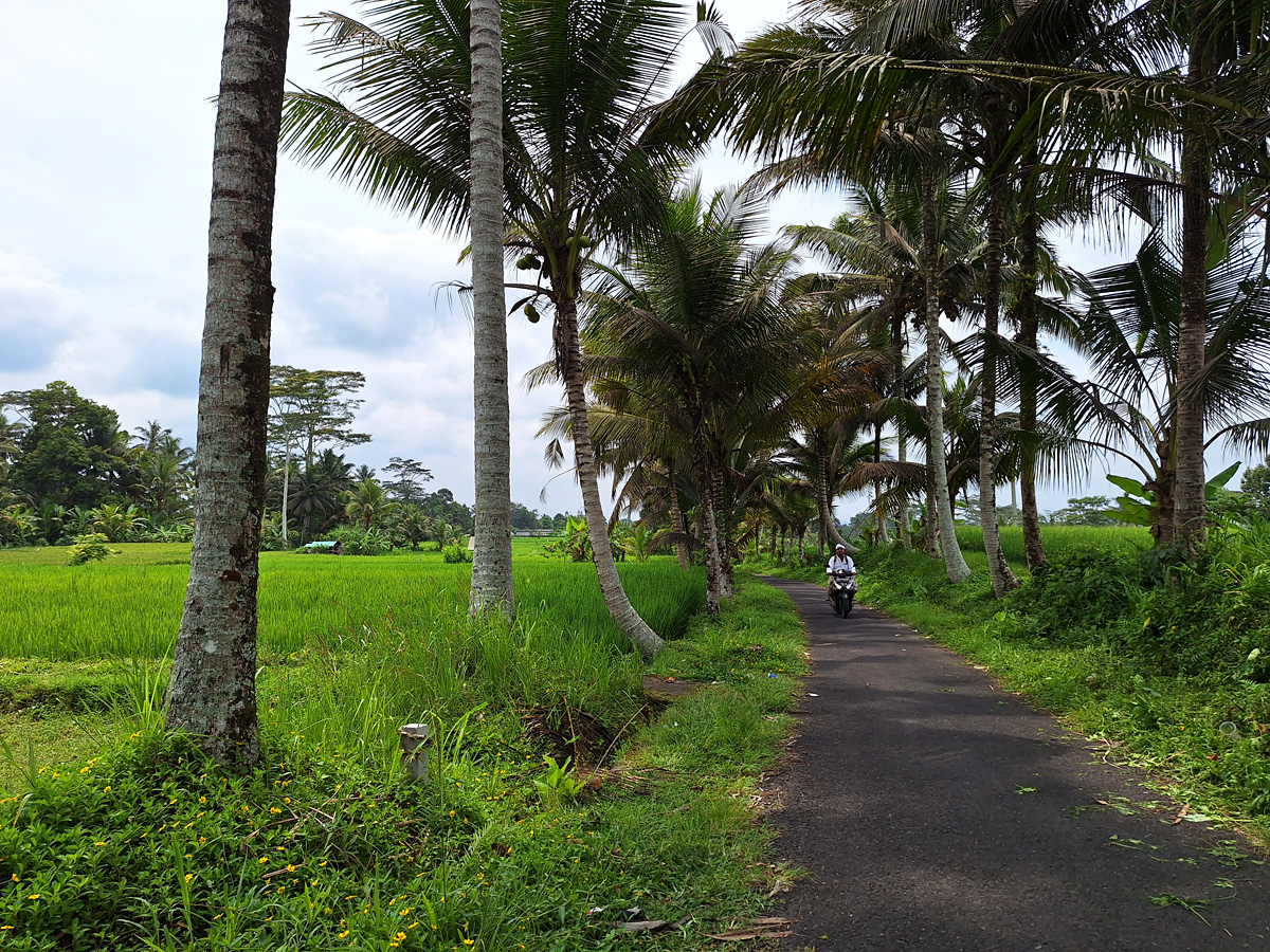 Indonesia, november 2023