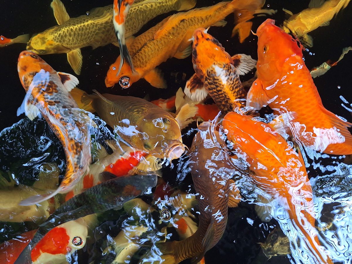 Indonesia, november 2023