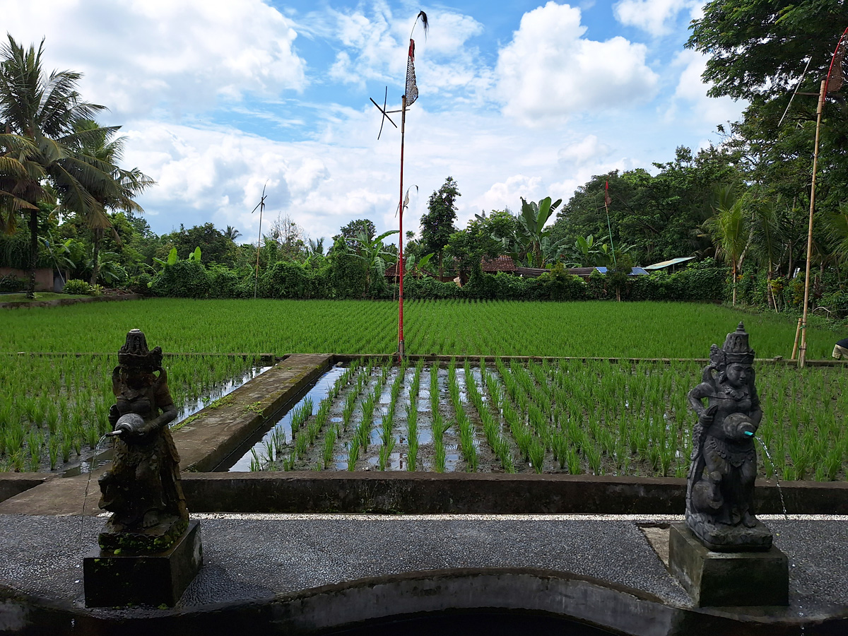 Indonesia, november 2023