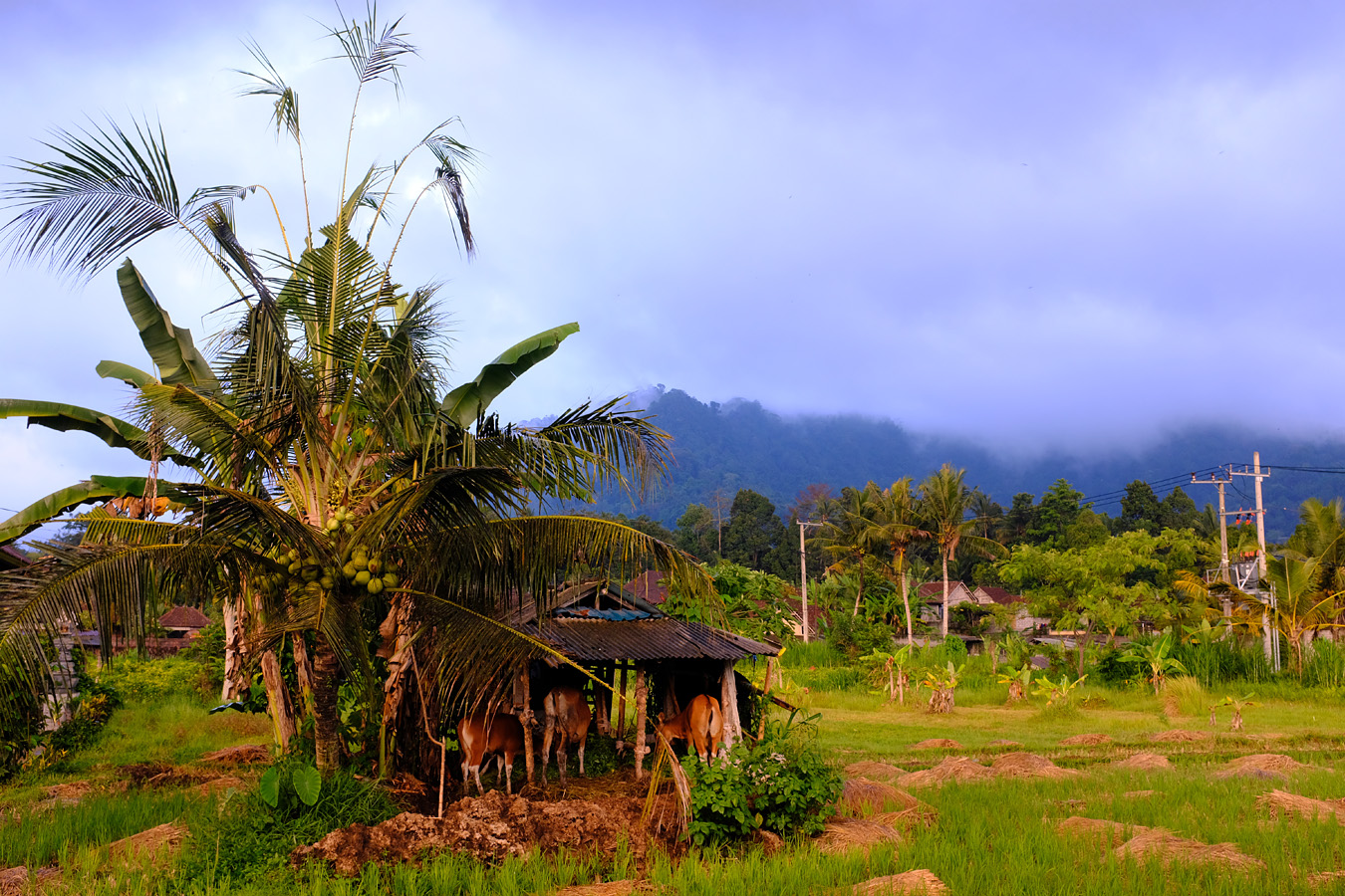 Indonesia, november 2023