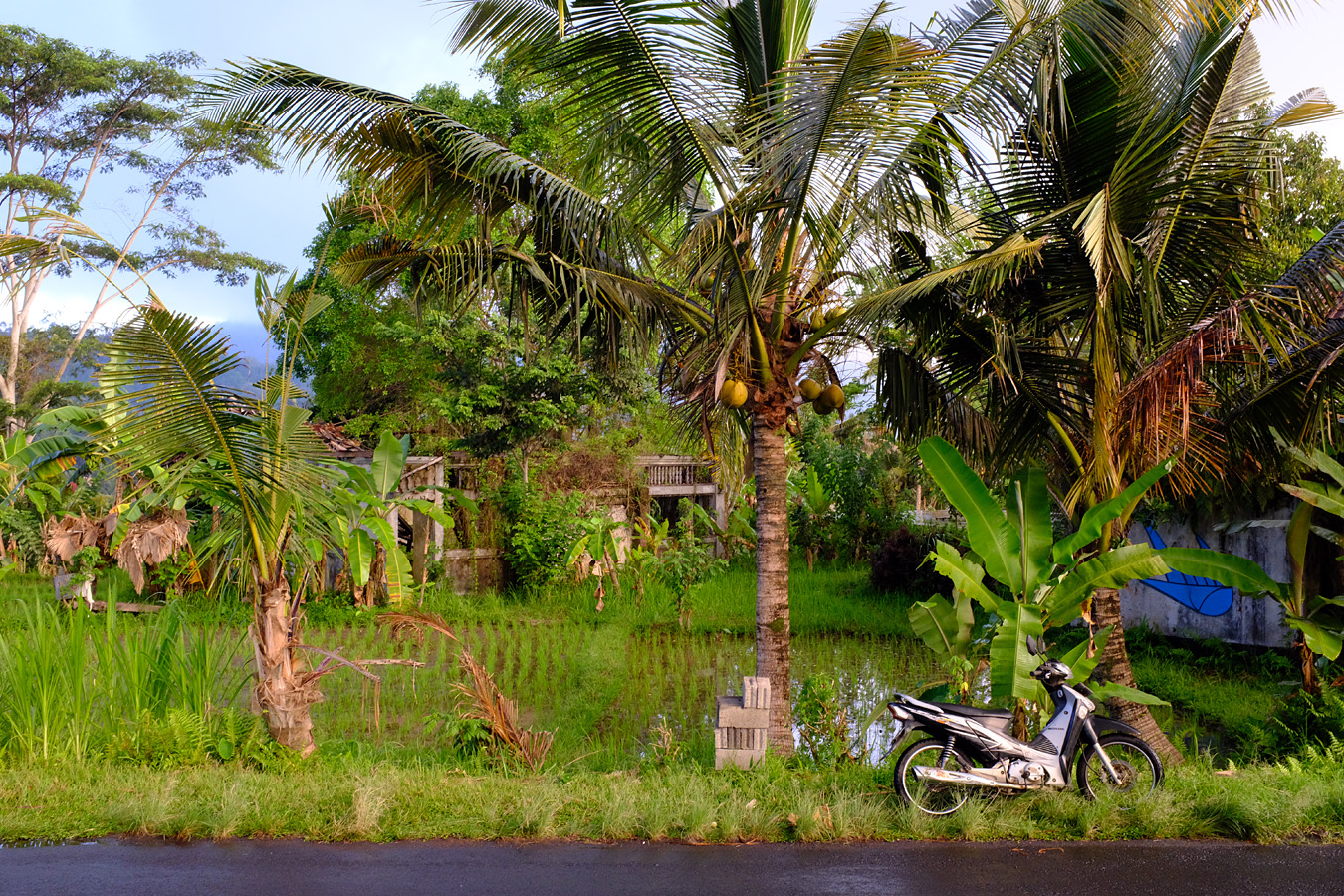 Indonesia, november 2023