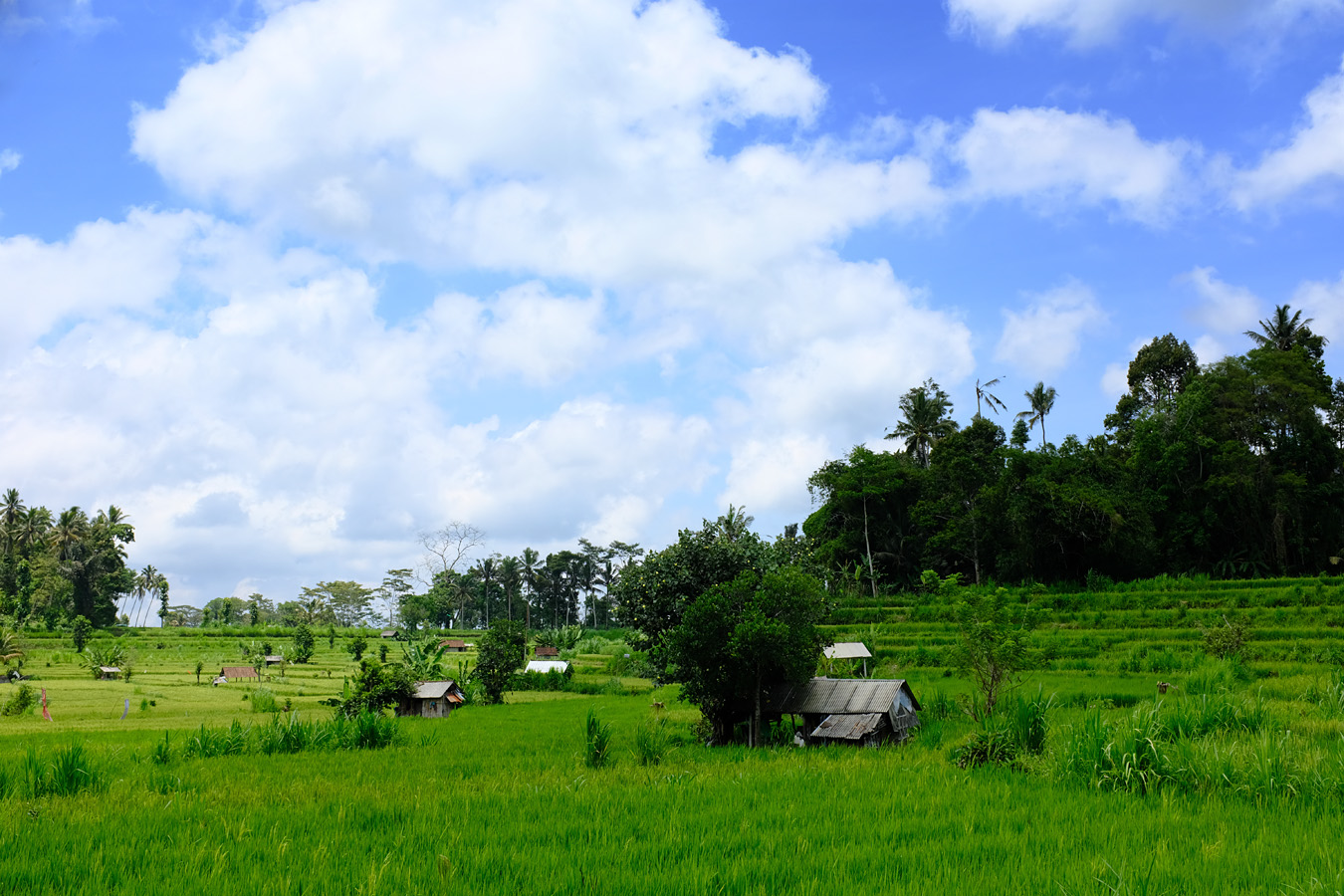 Indonesia, november 2023