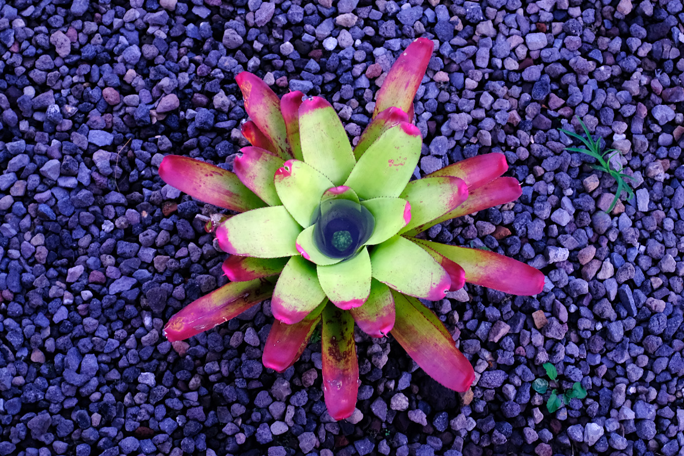 Indonesia, november 2023