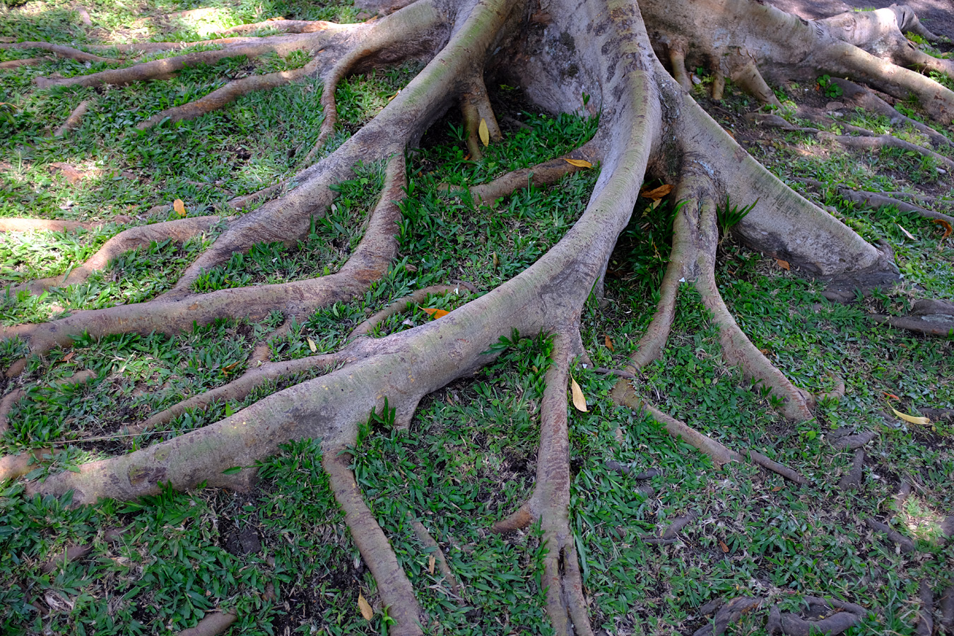 Indonesia, november 2023