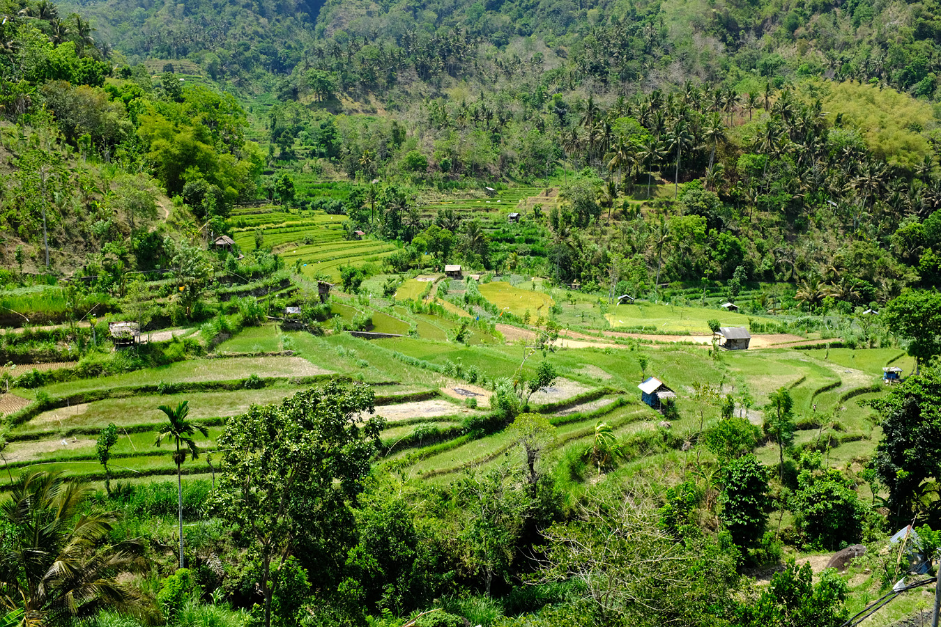 Indonesia, november 2023