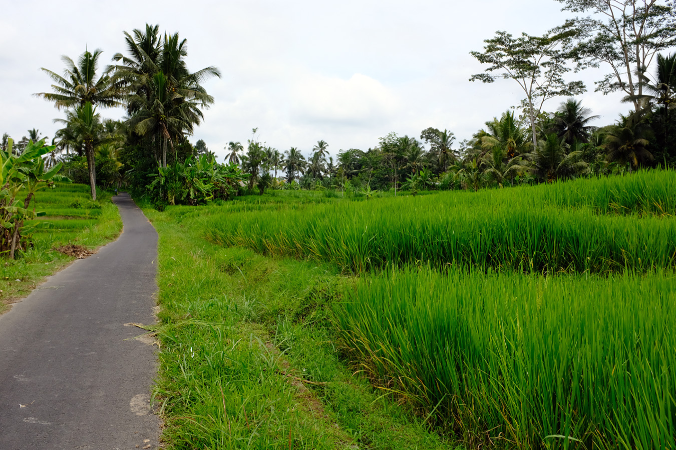 Indonesia, november 2023