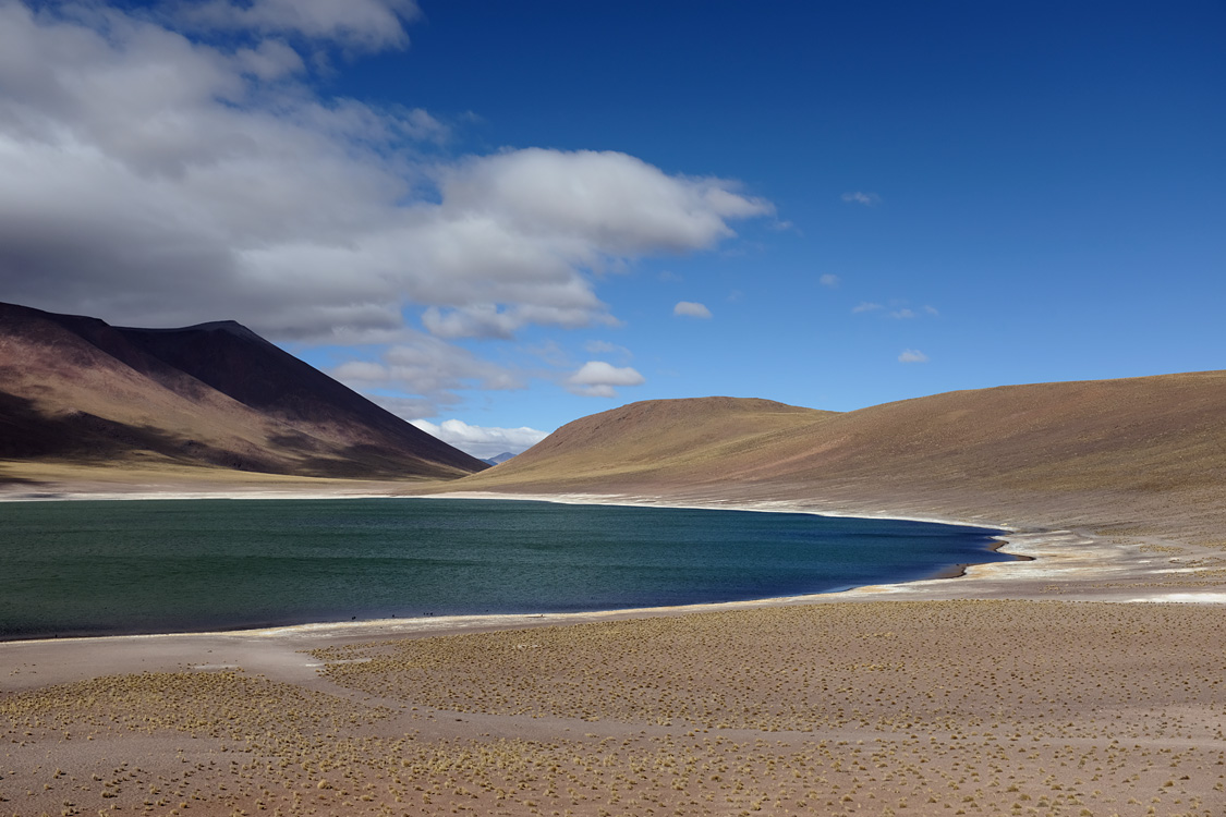 Laguna Miniques (Around San Pedro de Atacama, Chile)