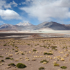 Salar de Talar and around (Around San Pedro de Atacama, Chile)