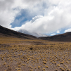Salar de Talar and around (Around San Pedro de Atacama, Chile)