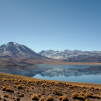Laguna Miscanti (2nd day) (Around San Pedro de Atacama, Chile)
