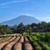 Indonesia, november 2023
