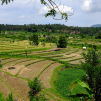 Indonesia, november 2023